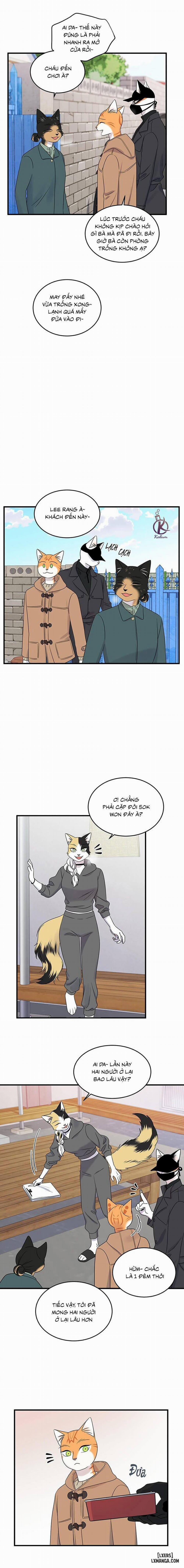 Dự án xanh 50 trang 8