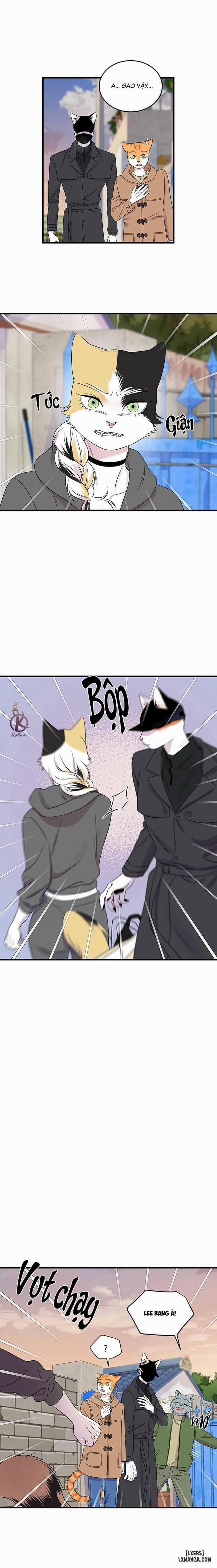 Dự án xanh 51 trang 1