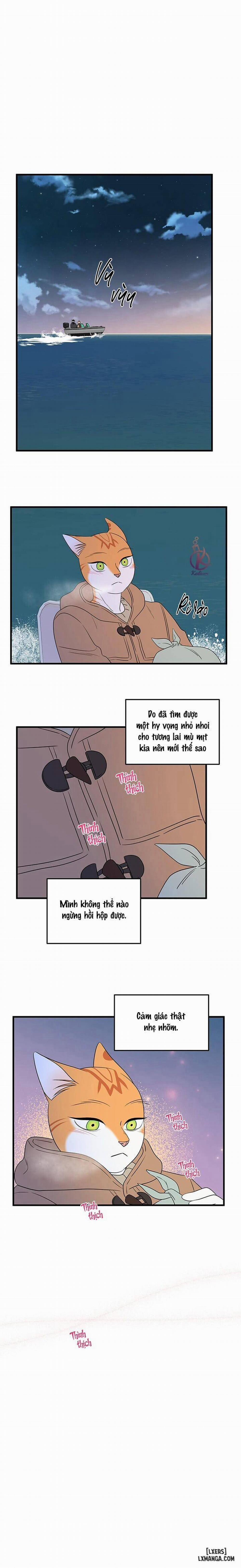 Dự án xanh 51 trang 10