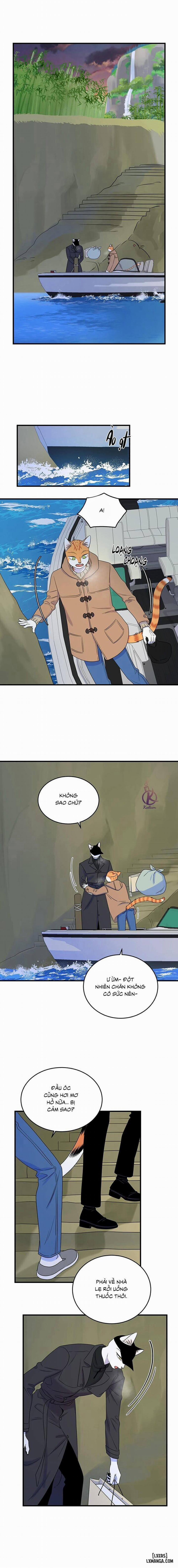 Dự án xanh 51 trang 11