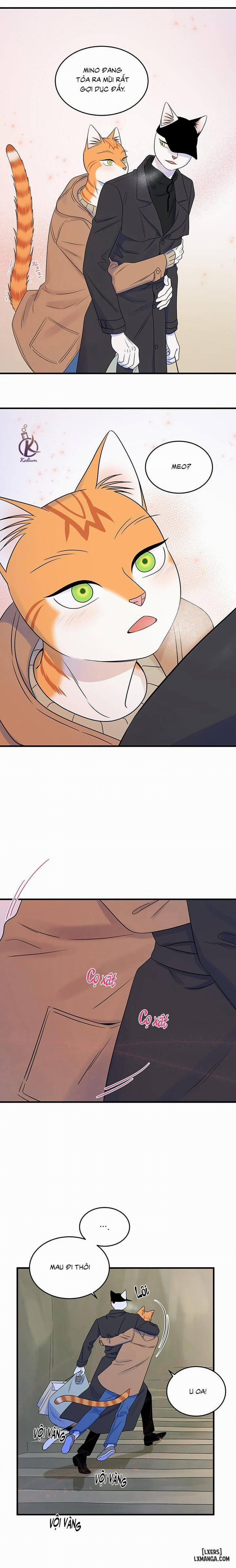 Dự án xanh 51 trang 13