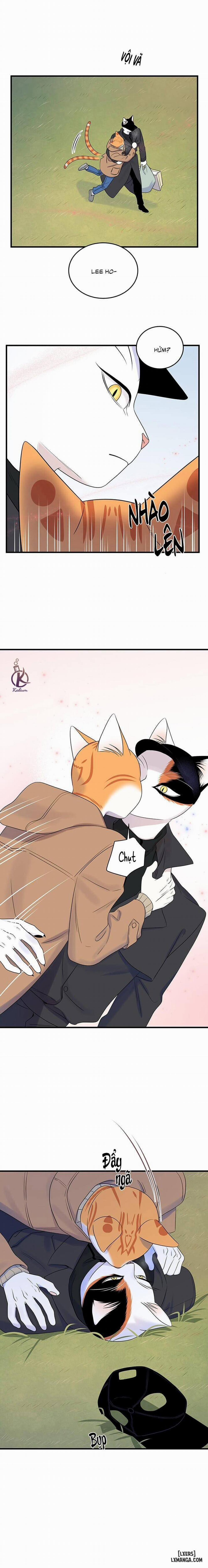 Dự án xanh 51 trang 14