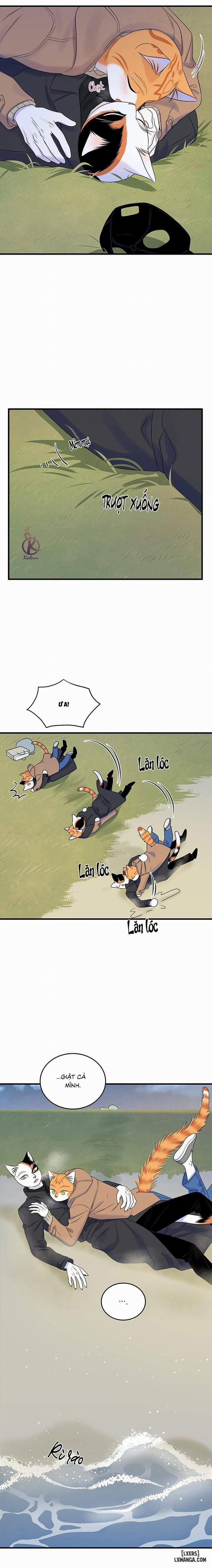 Dự án xanh 51 trang 15