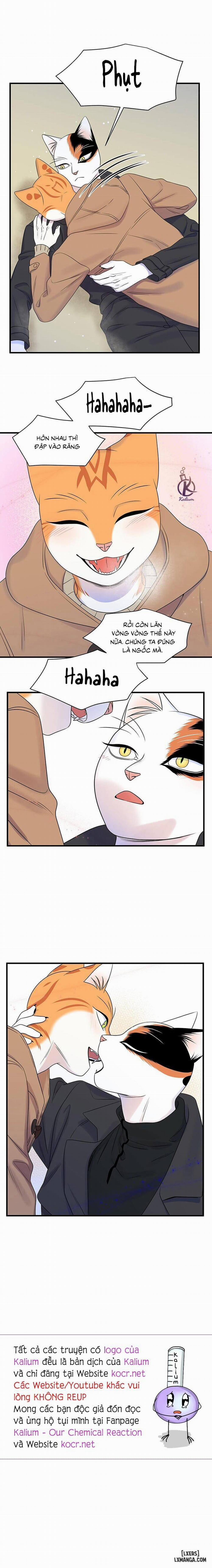 Dự án xanh 51 trang 16