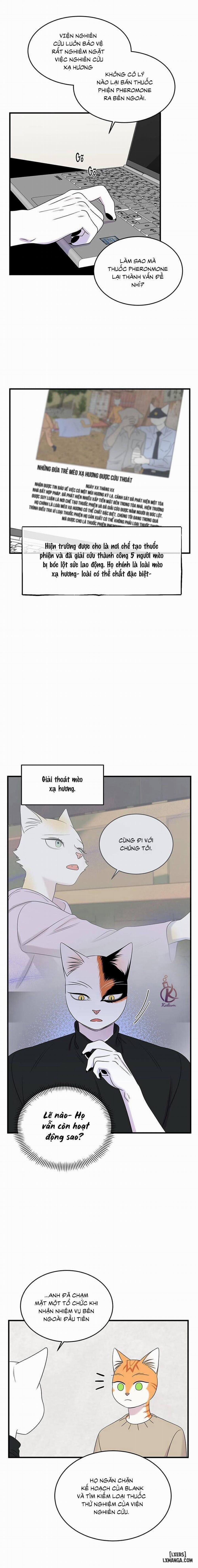 Dự án xanh 51 trang 6