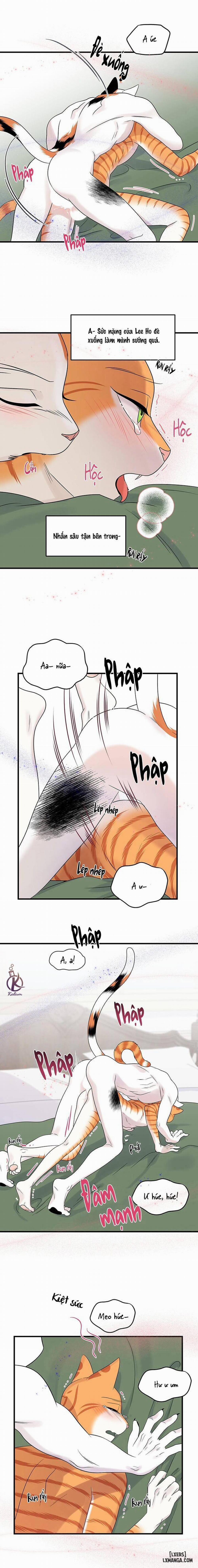 Dự án xanh 52 trang 12