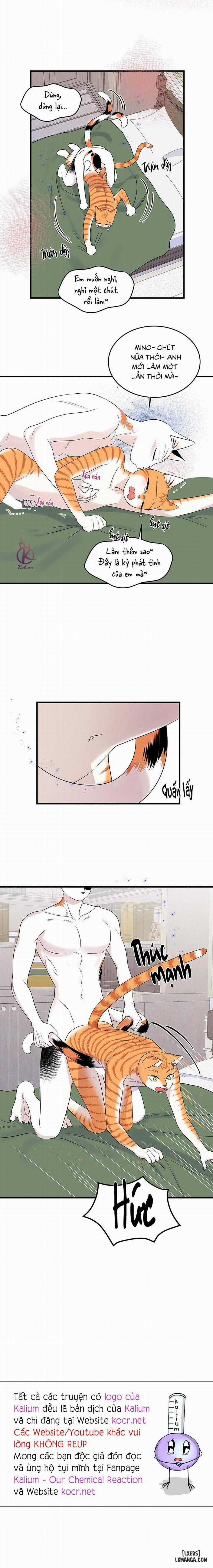 Dự án xanh 52 trang 13