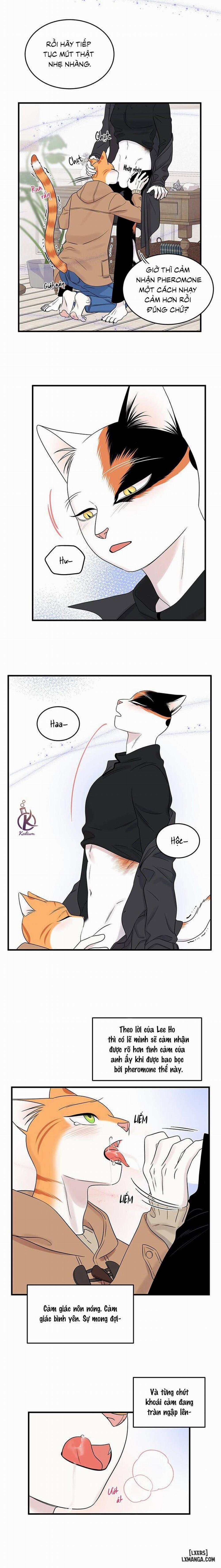 Dự án xanh 52 trang 5