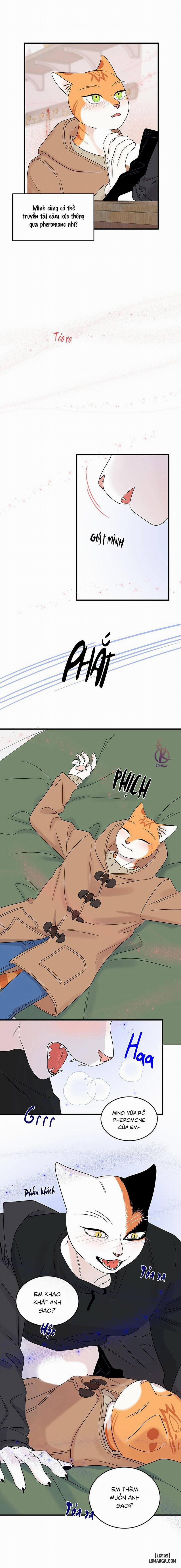 Dự án xanh 52 trang 6