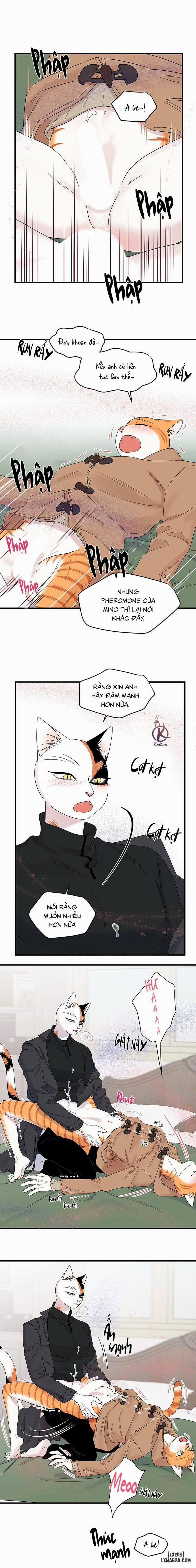 Dự án xanh 52 trang 9