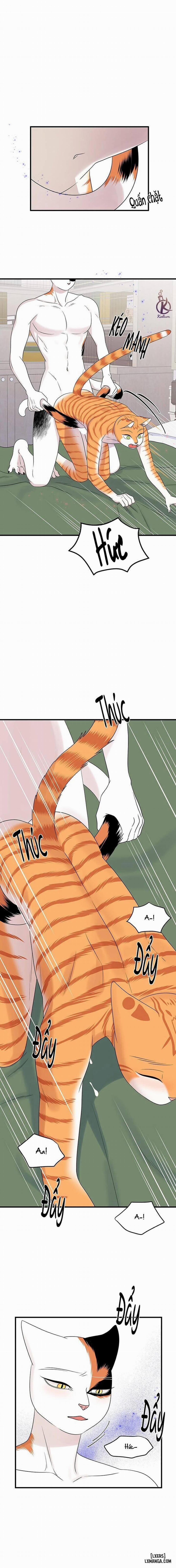 Dự án xanh 53 trang 0