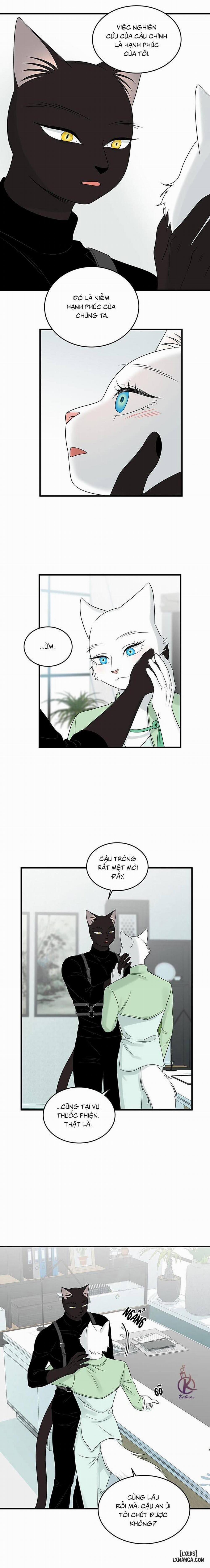 Dự án xanh 53 trang 12