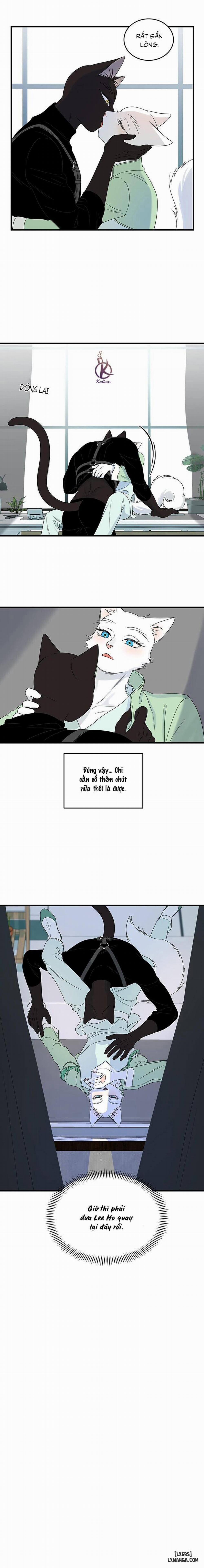 Dự án xanh 53 trang 13