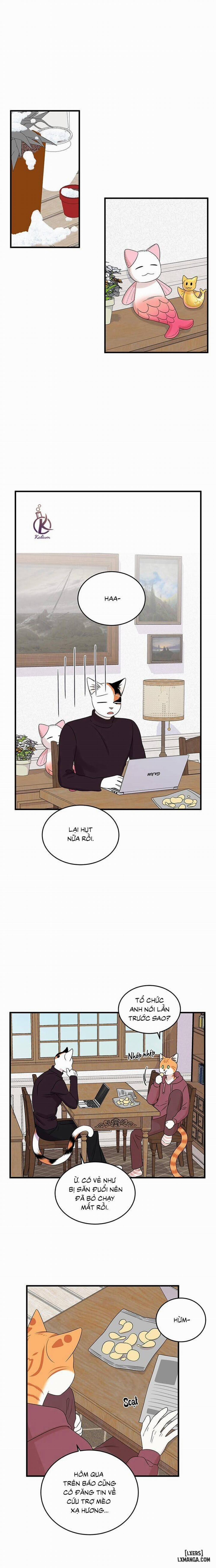 Dự án xanh 53 trang 14