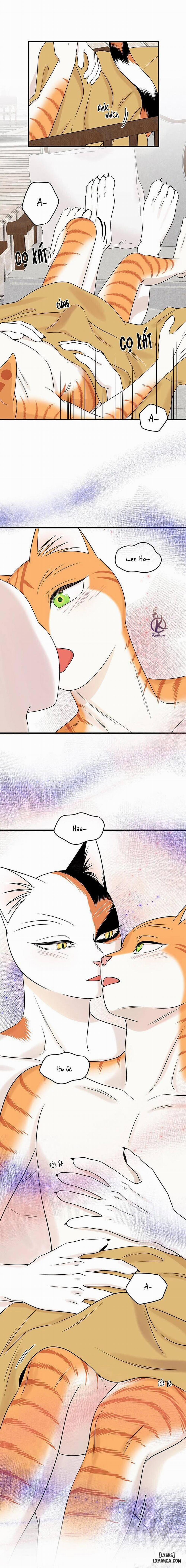 Dự án xanh 53 trang 8