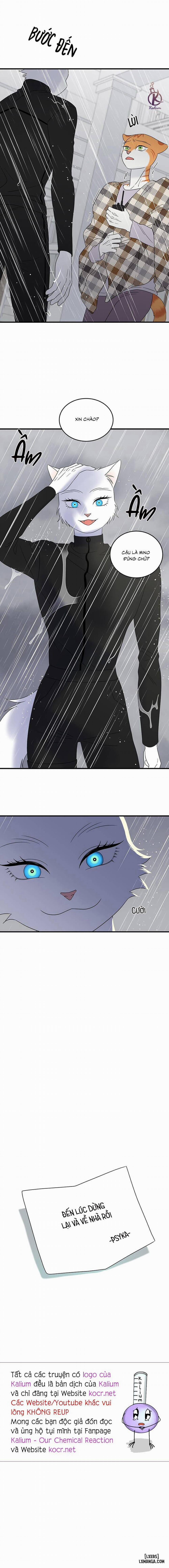 Dự án xanh 54 0 Hết phần 2 trang 16