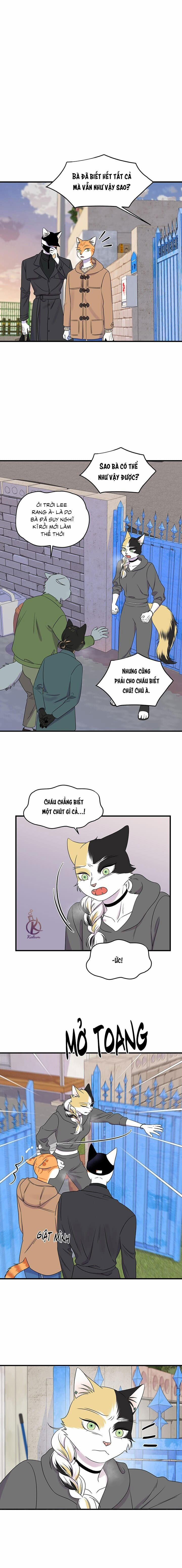 Dự án xanh 54 trang 0