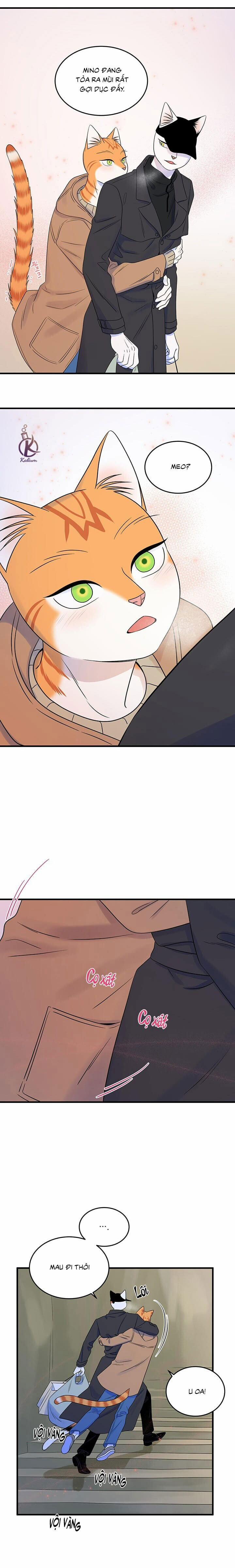 Dự án xanh 54 trang 13