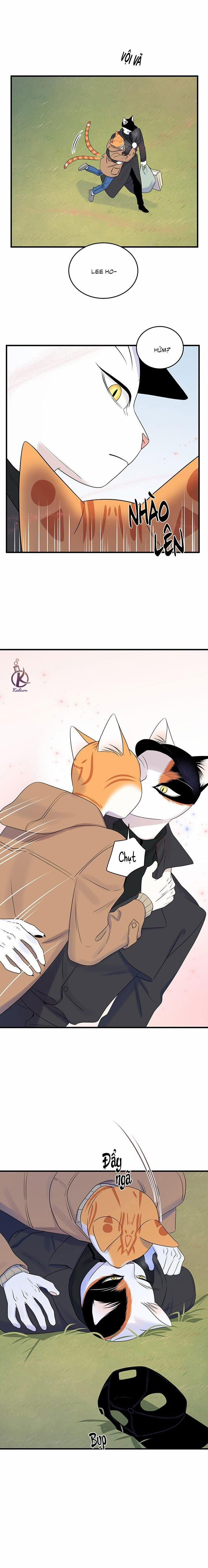 Dự án xanh 54 trang 14