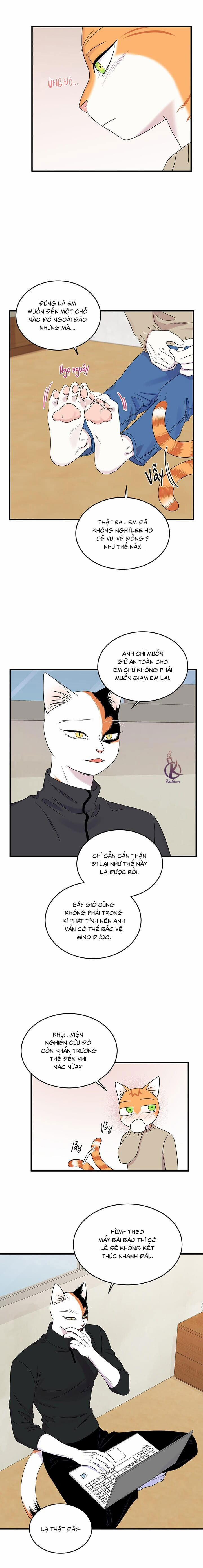 Dự án xanh 54 trang 5