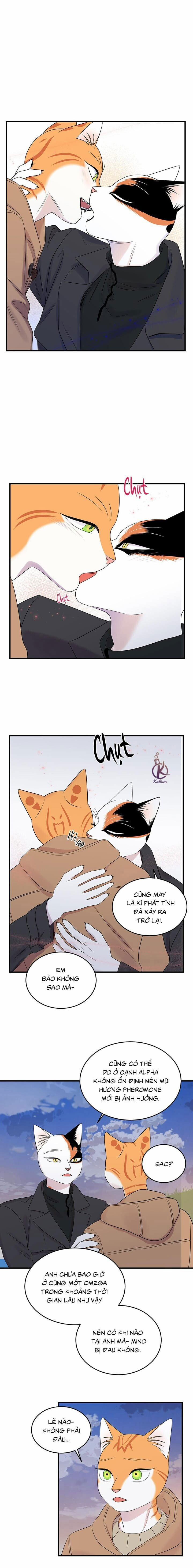 Dự án xanh 55 trang 0