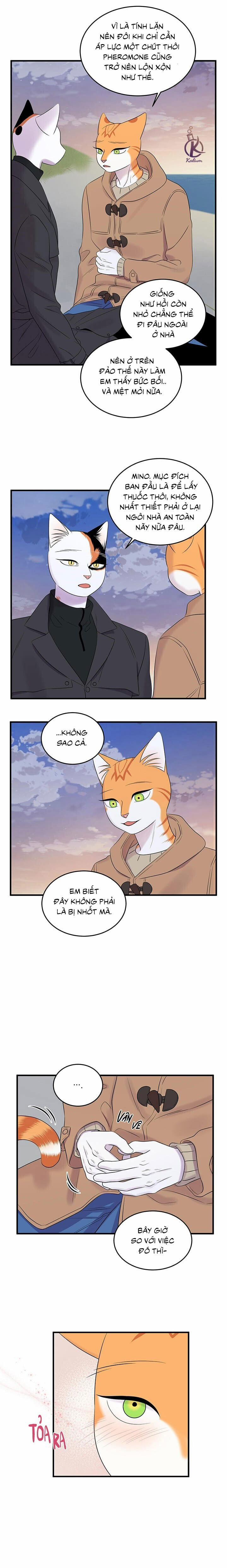 Dự án xanh 55 trang 1