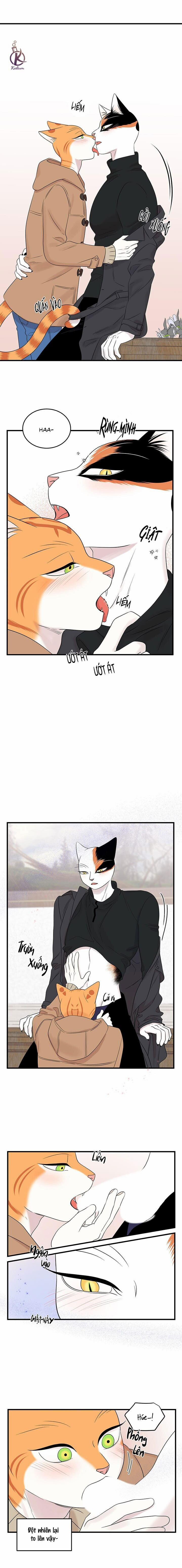 Dự án xanh 55 trang 3