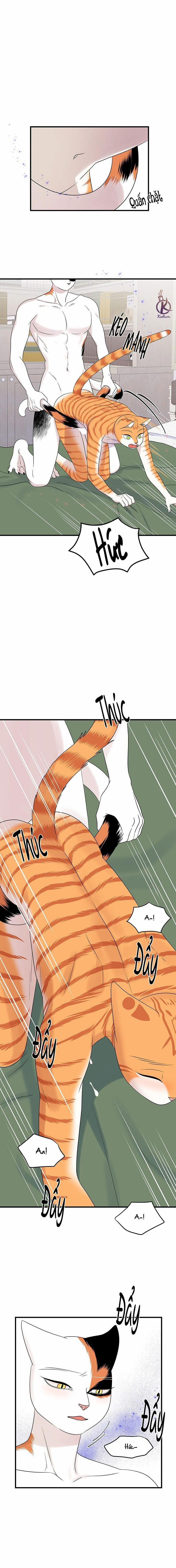 Dự án xanh 56 trang 0