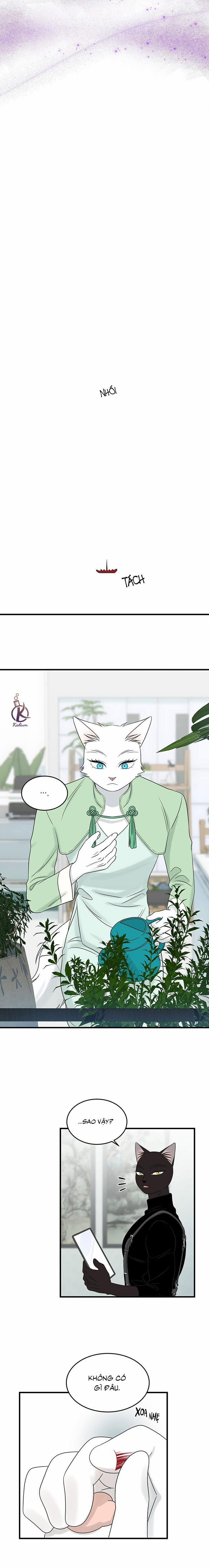 Dự án xanh 56 trang 10