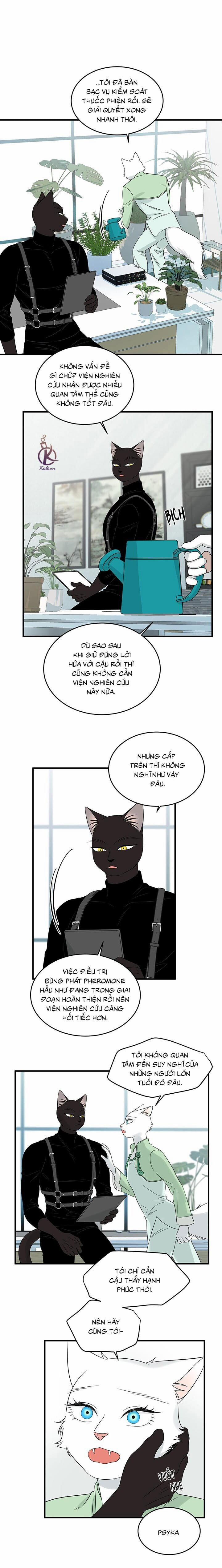 Dự án xanh 56 trang 11