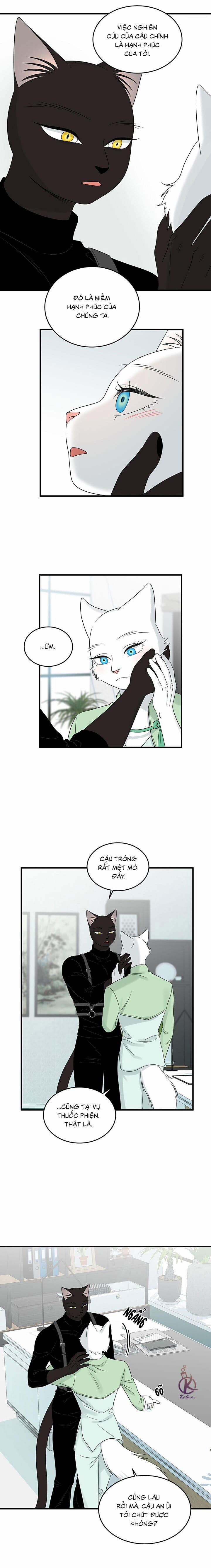 Dự án xanh 56 trang 12