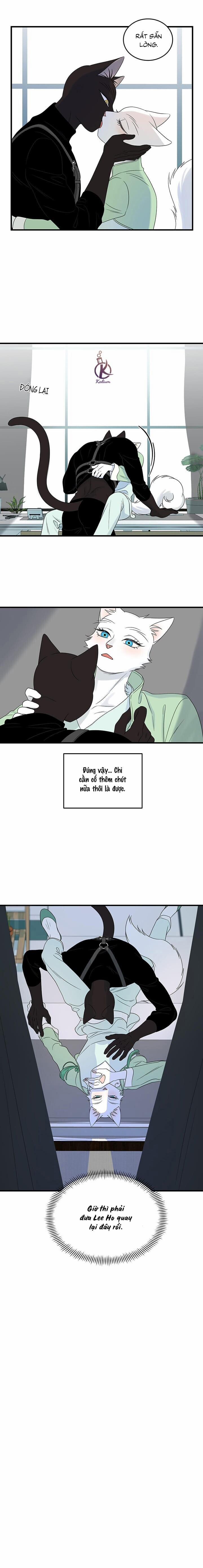 Dự án xanh 56 trang 13