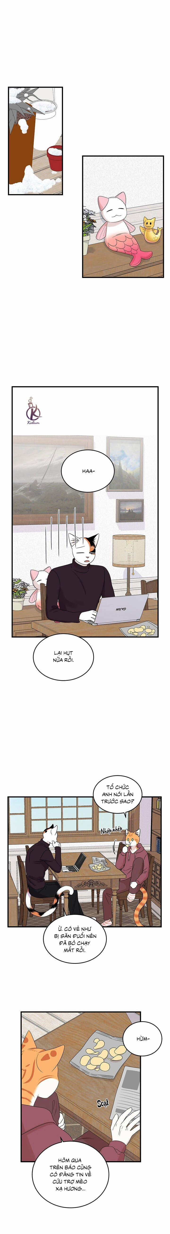 Dự án xanh 56 trang 14