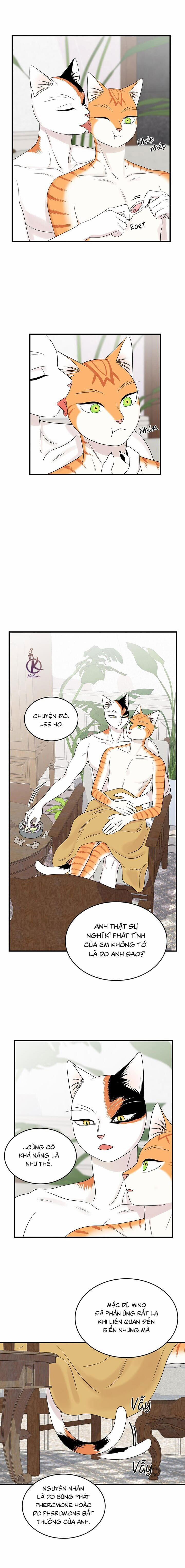 Dự án xanh 56 trang 3