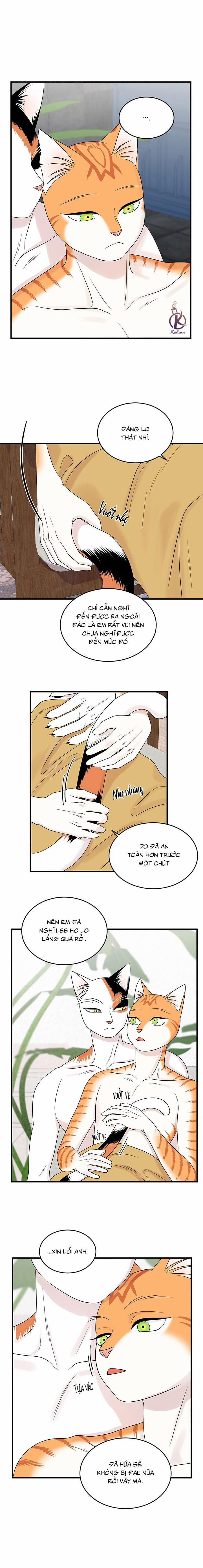 Dự án xanh 56 trang 4