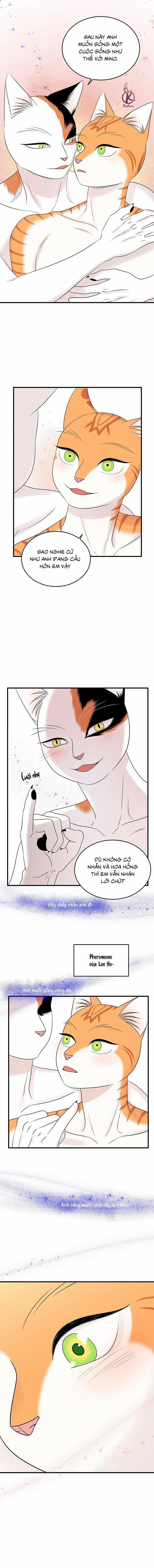 Dự án xanh 56 trang 6