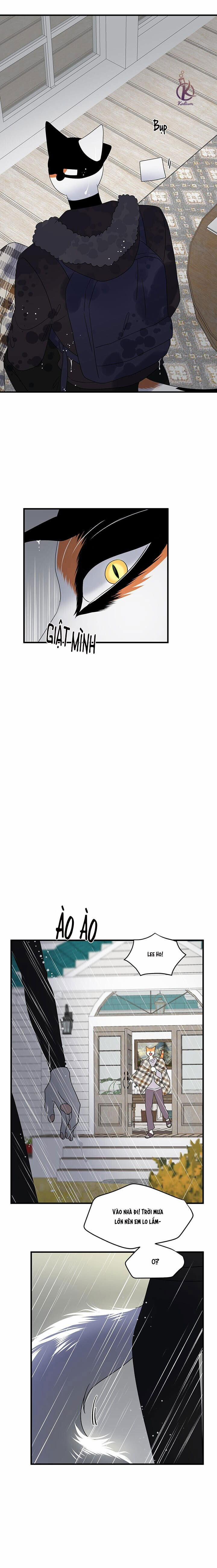 Dự án xanh 57 trang 15