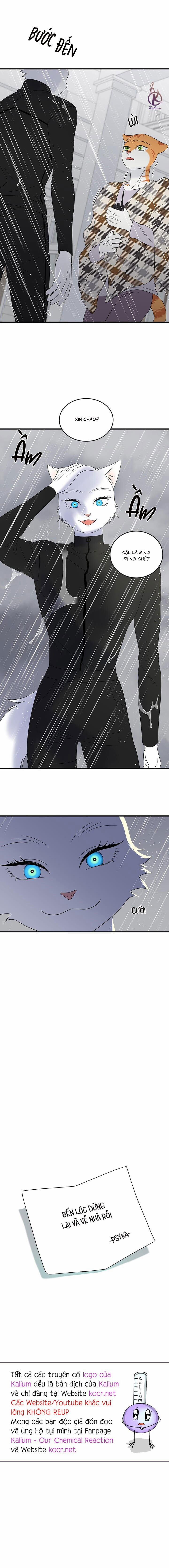 Dự án xanh 57 trang 16