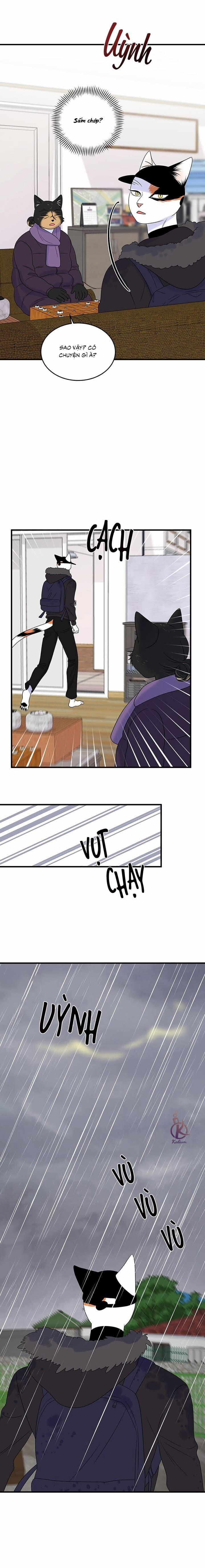 Dự án xanh 57 trang 9