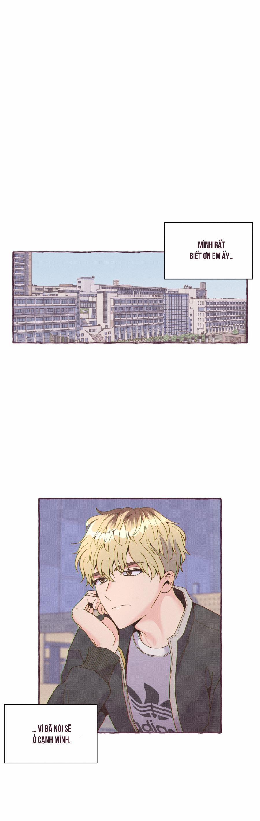 Dự Báo Thời Tiết Ngày Mai Sẽ Nắng 8 trang 36