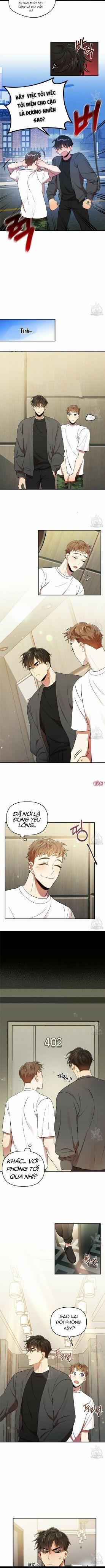 Dự Báo Tình Yêu 17.5 trang 0