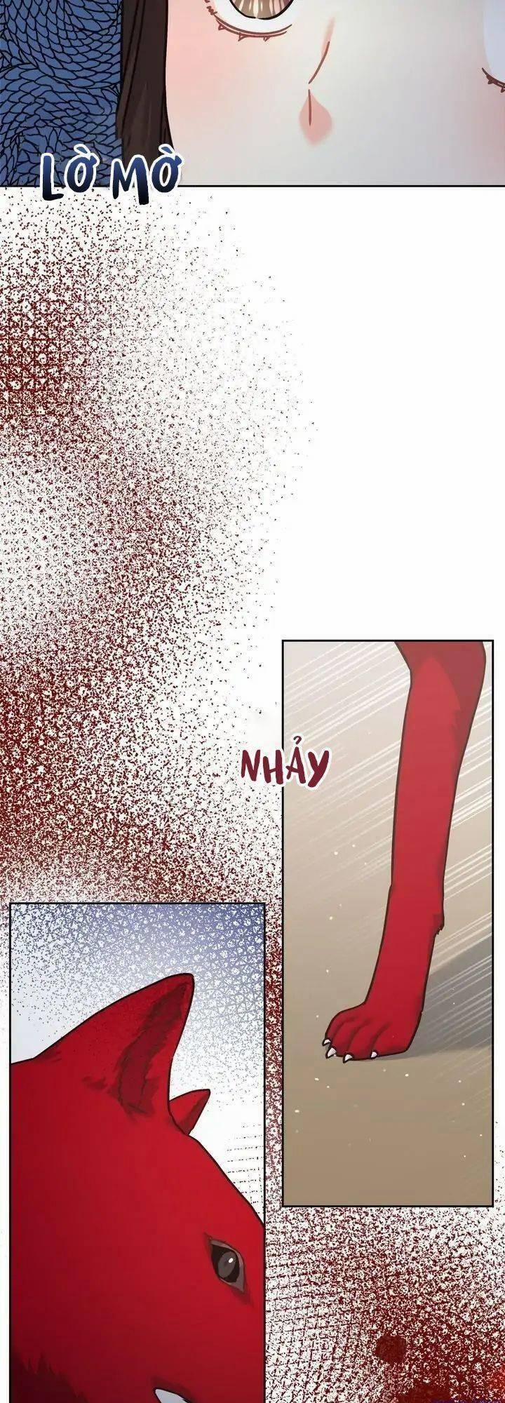 Du Khách Vào Ban Đêm Bí Ẩn 7 trang 39