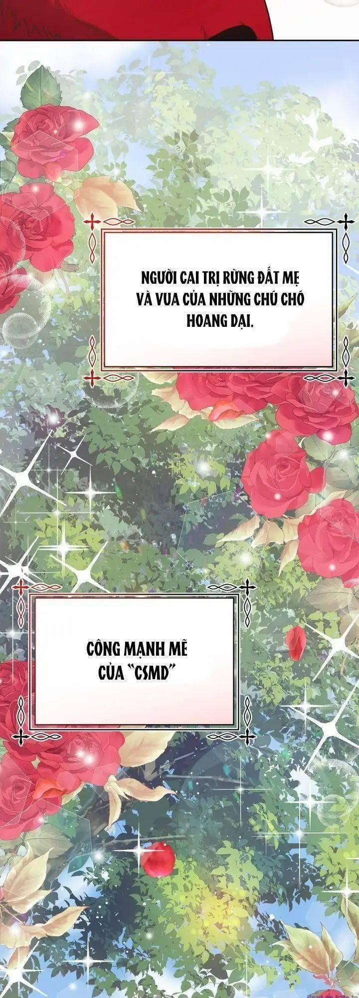 Du Khách Vào Ban Đêm Bí Ẩn 7 trang 48