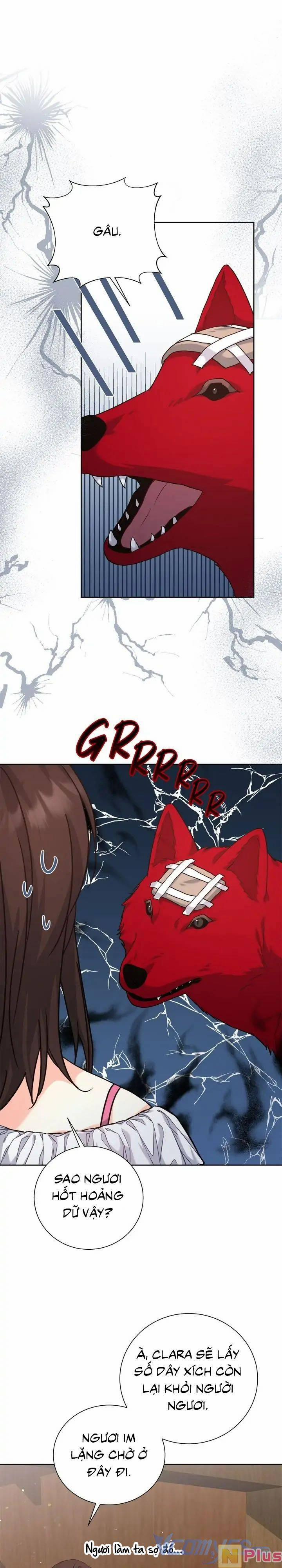 Du Khách Vào Ban Đêm Bí Ẩn 8 trang 22