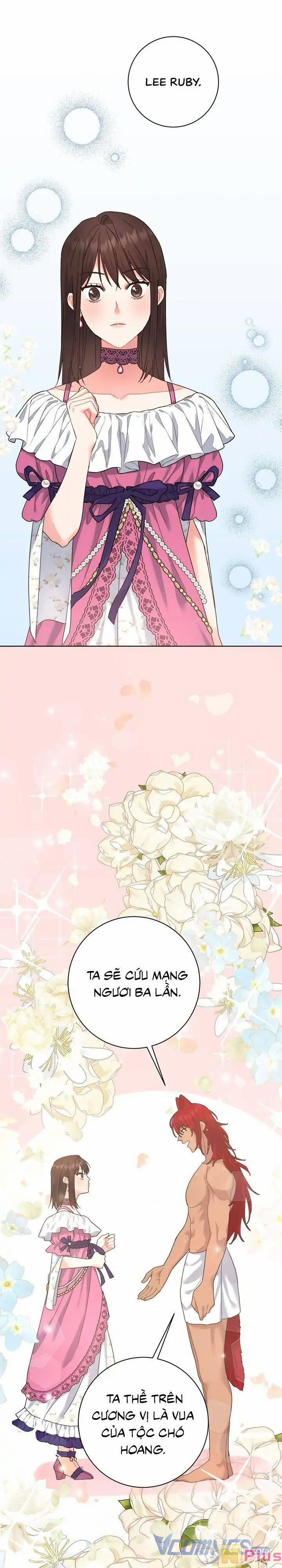 Du Khách Vào Ban Đêm Bí Ẩn 9 trang 20