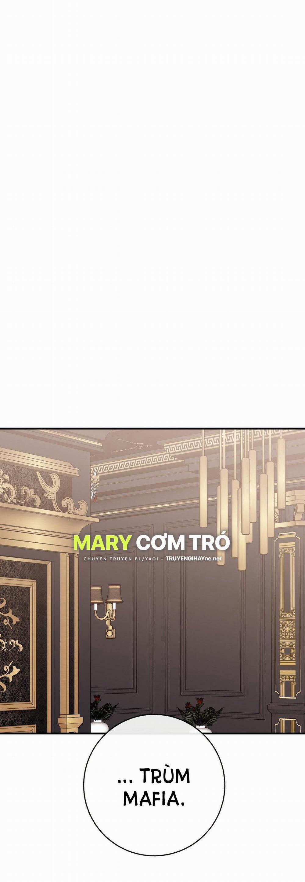 Đứa Bé Là Con Tôi 50.5 trang 0