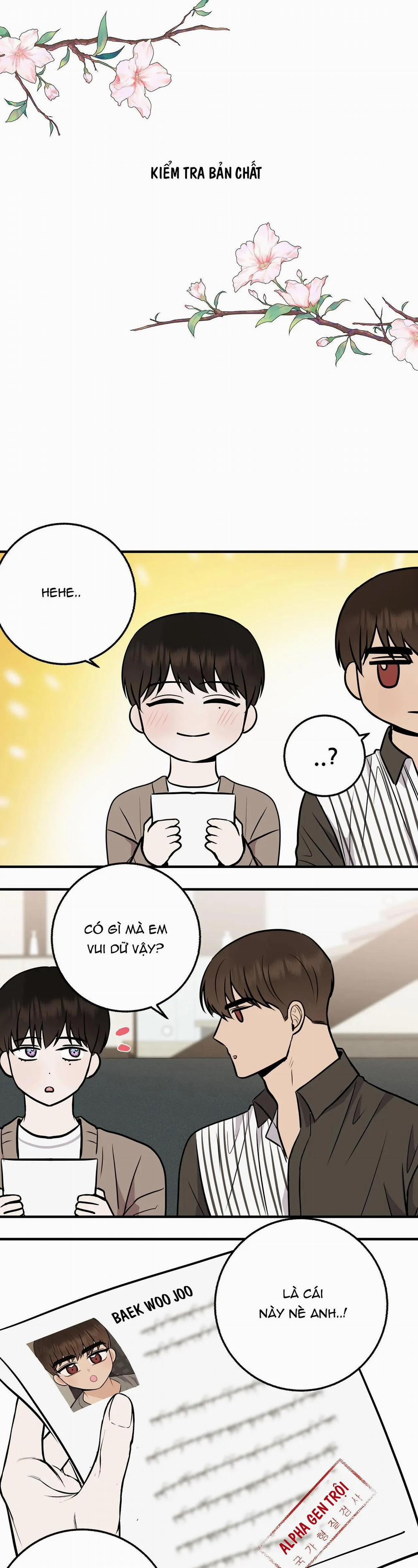 Đứa Bé Là Con Tôi 56 trang 11