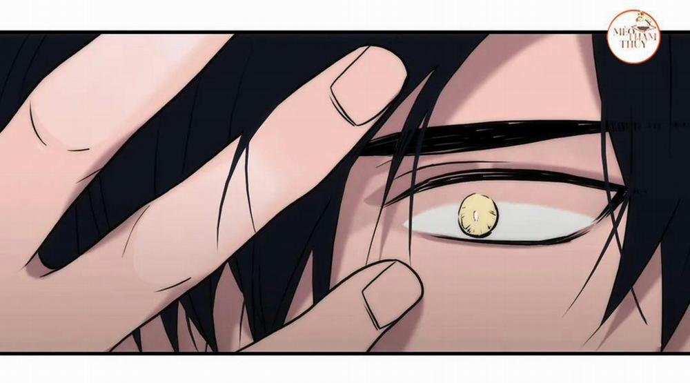 Đưa Đón Người Yêu 81 trang 1