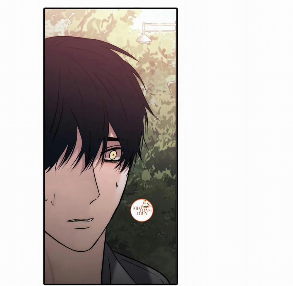 Đưa Đón Người Yêu 81 trang 59