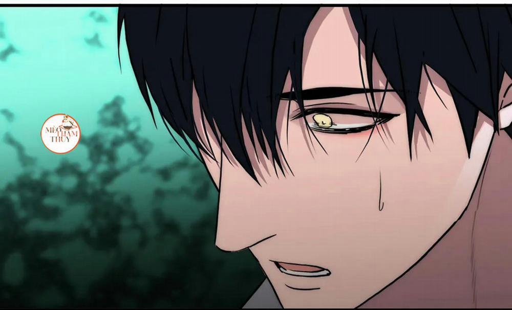 Đưa Đón Người Yêu 81 trang 64